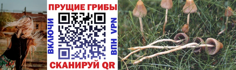 Галлюциногенные грибы мухоморы Купить где Сим